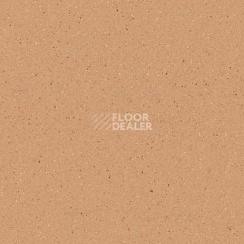 Линолеум Tarkett Zenit 701 фото 1 | FLOORDEALER