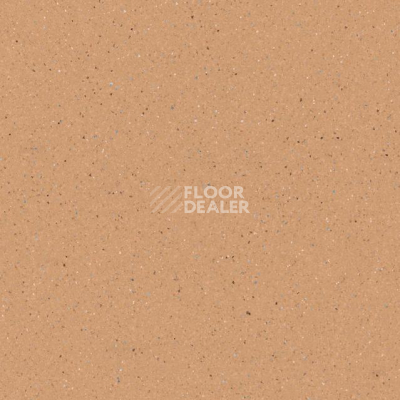 Линолеум Tarkett Zenit 701 фото 1 | FLOORDEALER