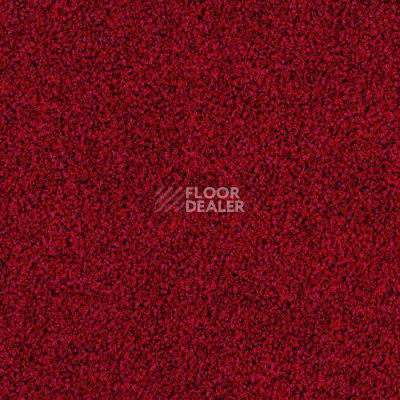 Ковровая плитка Desso Torso 4202 фото 1 | FLOORDEALER