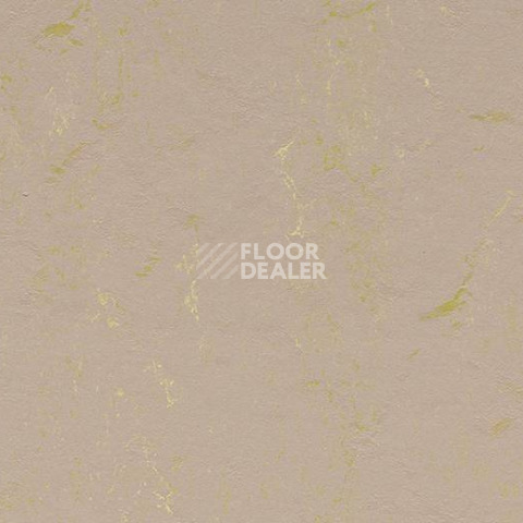Линолеум Forbo Marmoleum Sport 83715 фото 1 | FLOORDEALER