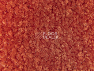Balsan Bolero 485 фото 2 | FLOORDEALER
