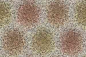 Ковролин Forbo Flotex by Mac Stopa 360002 f Fur Warm фото  | FLOORDEALER