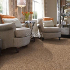 Sintelon Sensa 03868 фото 2 | FLOORDEALER