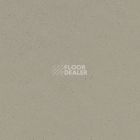 Линолеум Forbo SureStep balance 173232 fossil фото 1 | FLOORDEALER