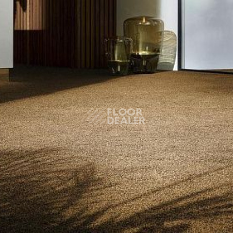 Vorwerk Exclusive1009/Elara 2d91 фото 5 | FLOORDEALER