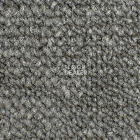 Desso Desert 9094 фото 2 | FLOORDEALER