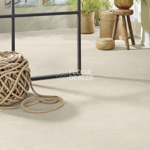 Vorwerk Superior 1065/Viola Vorwerk 6c71 фото 2 | FLOORDEALER