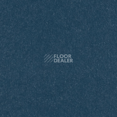Линолеум Forbo Marmoleum Solid Walton 3358-335835 petrol фото 1 | FLOORDEALER
