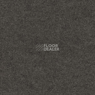 Ковролин Finett Feinwerk 403516 фото 1 | FLOORDEALER