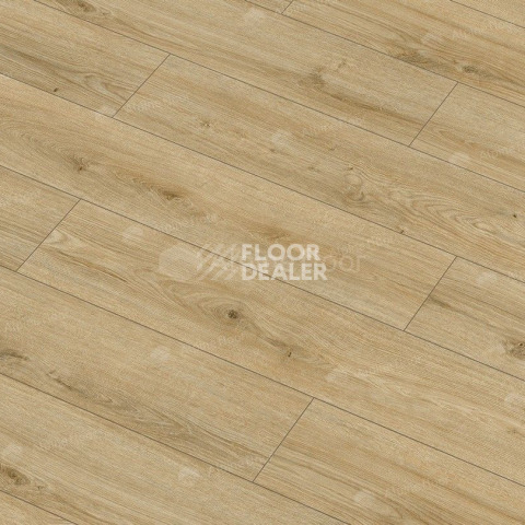 Classen Arteo 8 M 62753 Дуб Каракум фото 5 | FLOORDEALER