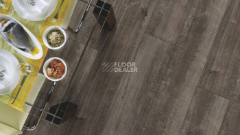 Kronotex Exquisit Plus d4785 Дуб Гала Титан фото 8 | FLOORDEALER