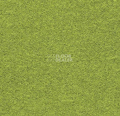 Ковровая плитка Forbo Tessera Layout & Outline 2120 / 2120 pl Apple фото 1 | FLOORDEALER