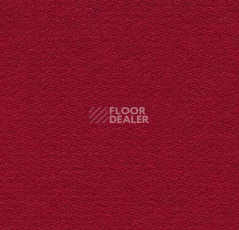 Ковролин Forbo Flotex wonderlab 07 900286 Ruby фото 1 | FLOORDEALER