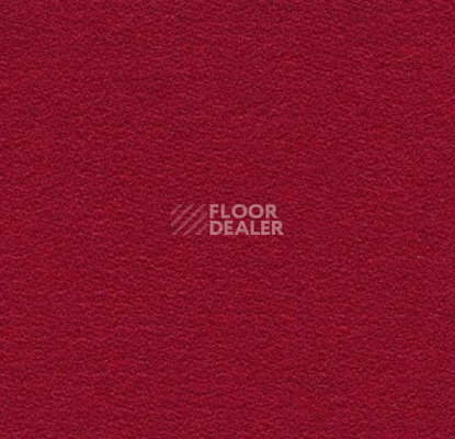 Ковролин Forbo Flotex wonderlab 07 900286 Ruby фото 1 | FLOORDEALER