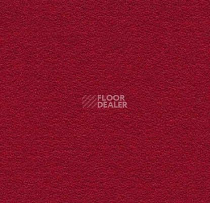 Ковролин Forbo Flotex wonderlab 07 900286 Ruby фото 1 | FLOORDEALER
