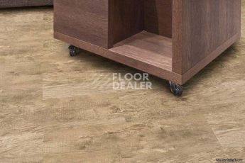 Wood OAK ANTIQUE фото 2 | FLOORDEALER