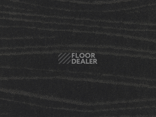 Ковролин Lano Carve Linea 812 Charcoal 2 фото 1 | FLOORDEALER