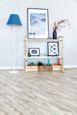Alpine Floor Classic Акация CLICK ЕСО 107-8 фото 5 | FLOORDEALER