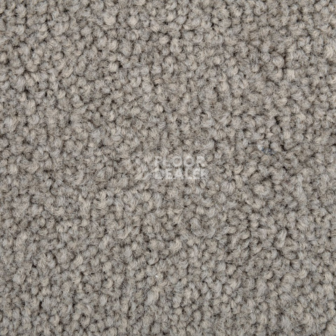 Standard Carpets Mountain View 4371 фото 3 | FLOORDEALER