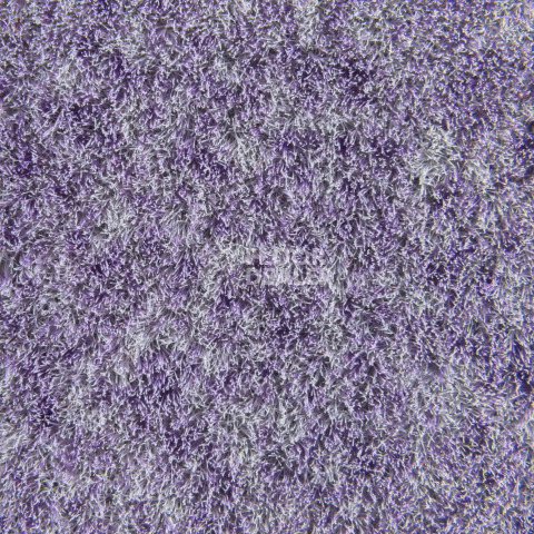 Forbo Flotex Colour Penang 50*50 t 382027 Penang Orchid фото 3 | FLOORDEALER