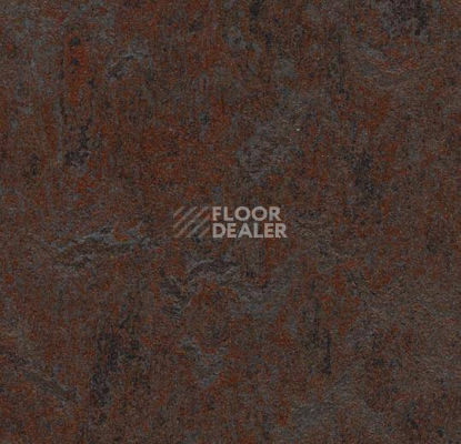 Линолеум Forbo Marmoleum Decibel 324835 фото 1 | FLOORDEALER