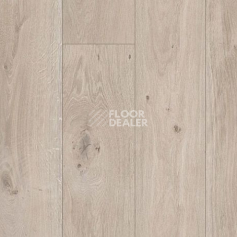 Parador Basic Plus 400 V 1593798 Дуб Натурально-серый фото 2 | FLOORDEALER