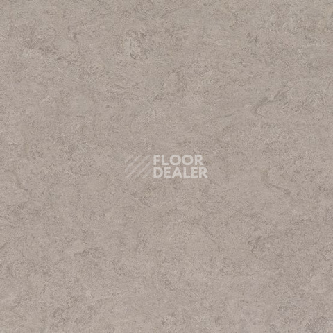 Линолеум Gerflor Marmorette DLW 2.5mm 0091 Shiitake Mushroom фото 1 | FLOORDEALER