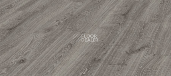 Ламинат Kronotex Robusto 12мм d3571 Дуб Таймлесс Серый фото 1 | FLOORDEALER