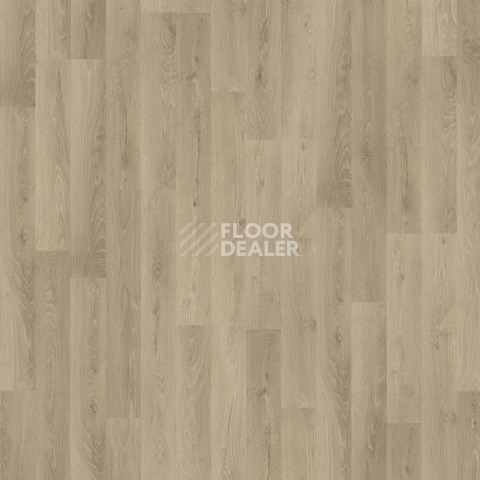 Kronotex Dynamic Plus d4155 Дуб Роскошный Серебряный фото 5 | FLOORDEALER