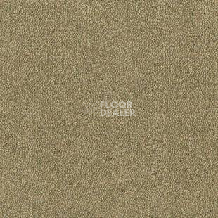 Ковролин Desso Asteranne 2015 фото 1 | FLOORDEALER