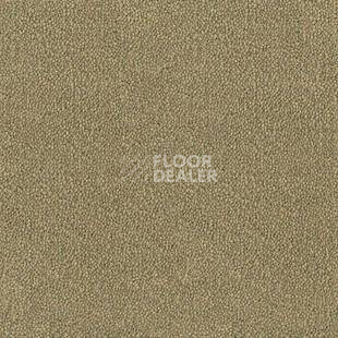 Ковролин Desso Asteranne 2015 фото 1 | FLOORDEALER