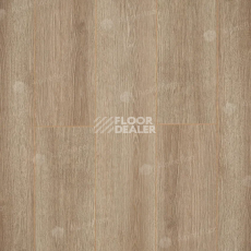 Ламинат Alpine Floor Premium 10мм P1001  ДУБ КАШЕМИР фото 1 | FLOORDEALER