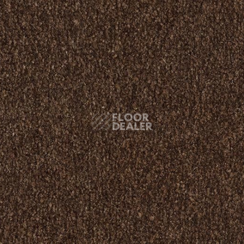 Грязезащитные покрытия Forbo Coral Marine FR 4226 Tanger Brown фото 1 | FLOORDEALER