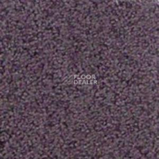 Ковролин Infloor Cashmere 385 фото 1 | FLOORDEALER