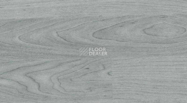 Линолеум Gerflor Taraflex Multi-Use 6.2 Wood 3708_Wood_Grey фото 1 | FLOORDEALER