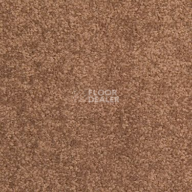 Ковровая плитка Modulyss Cambridge 827 фото 1 | FLOORDEALER