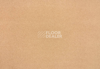 Ковролин Lano Zen 164 фото 1 | FLOORDEALER