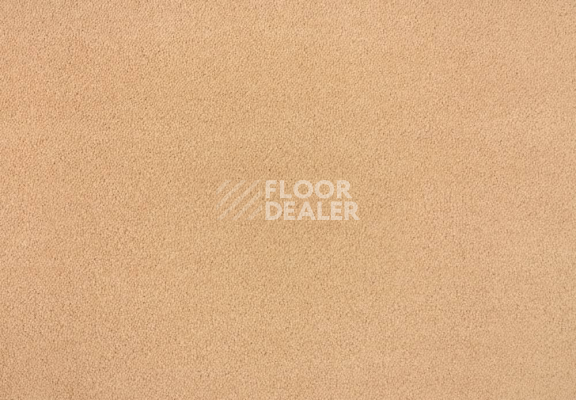 Ковролин Lano Zen 164 фото 1 | FLOORDEALER
