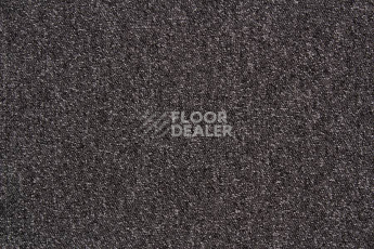 Ковровая плитка Betap Baltic 74 фото 1 | FLOORDEALER