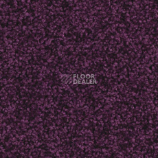 Ковролин Balsan Serenite 890 фото 1 | FLOORDEALER