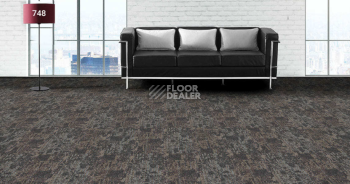 Standard Carpets On the Rocks 748 фото 2 | FLOORDEALER