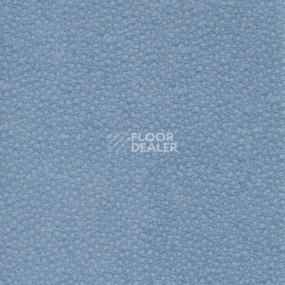 Линолеум Grabo Acoustic Pro 4276_472_4_ фото 1 | FLOORDEALER