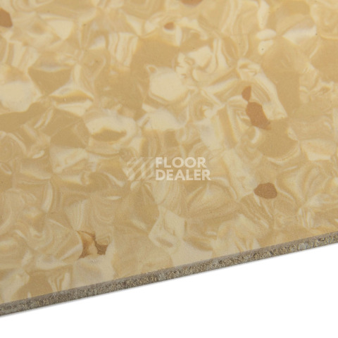 Tarkett Primo Plus 304 фото 4 | FLOORDEALER