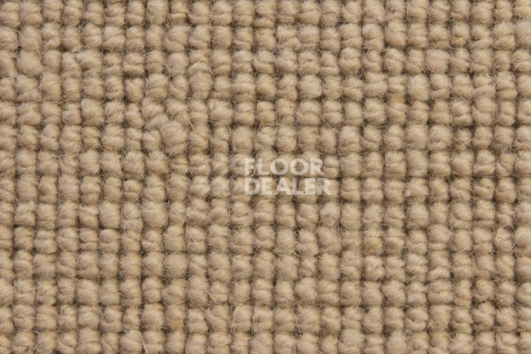 Ковролин Edel Burford Bridge 243 фото 1 | FLOORDEALER