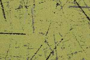 Ковровая плитка Balsan Crazy Balsan Crazy 260 фото  | FLOORDEALER