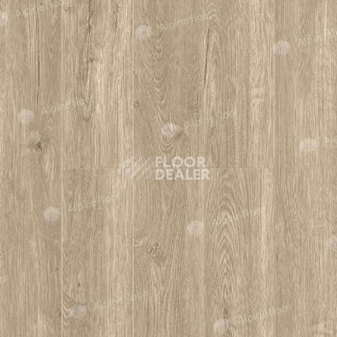 Кварцвиниловые полы Alpine Floor Sequoia (LVT) Секвойя Коньячная ЕСО 6-2 LVT фото 1 | FLOORDEALER