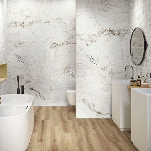 Oxyd Jewel 60 X 120 Matt Rect фото 7 | FLOORDEALER