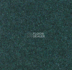 Ковролин Forbo Forte 96028 Glade фото 1 | FLOORDEALER