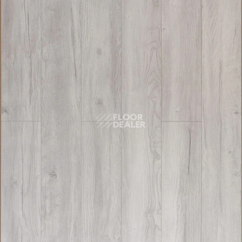 Ламинат Alix Floor Regista 8мм D7057 Дуб Тетис Белый фото 1 | FLOORDEALER