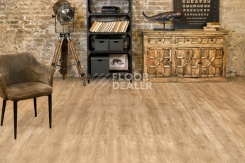 Alpine Floor Grand Sequoia (1220x183) ГРАНД СЕКВОЙЯ КАМФОРА ECO 11-5 фото 2 | FLOORDEALER